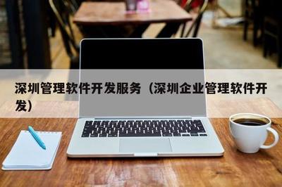 深圳管理軟件開發服務 滿足現代企業需求的全面解決方案