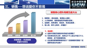 新媒體沖擊下的全網(wǎng)營銷實(shí)戰(zhàn) 智慧中國聯(lián)盟廈門信息技術(shù)咨詢服務(wù)的探索