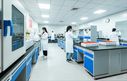 白酒科技賦能微生物服務(wù) 茅臺鎮(zhèn)國臺酒的現(xiàn)代化啟示