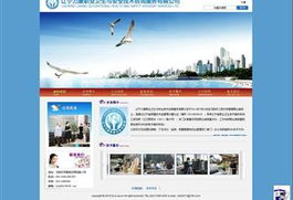 服務(wù)行業(yè)網(wǎng)站建設(shè)與設(shè)計 信息技術(shù)咨詢服務(wù)的實(shí)踐與案例