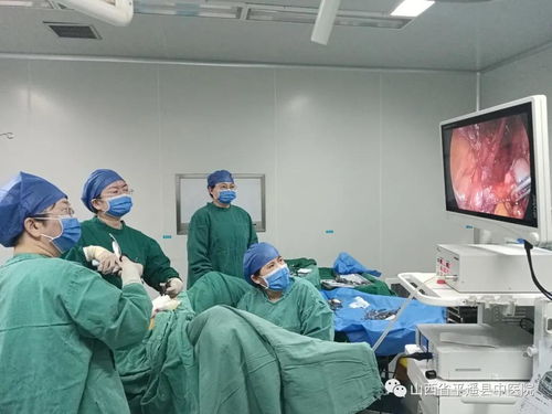 技術(shù)創(chuàng)新與服務(wù)用心 以信息技術(shù)咨詢服務(wù)推動醫(yī)院高質(zhì)量發(fā)展