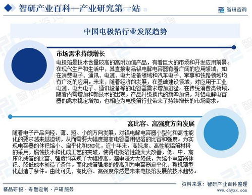 電極箔產(chǎn)業(yè)發(fā)展歷程、競爭格局與市場前景研究