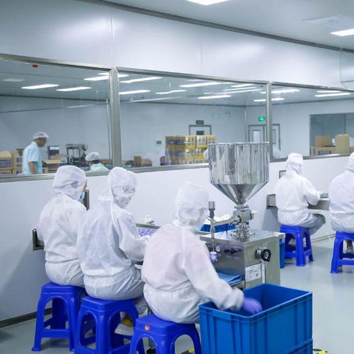 專業(yè)功效護(hù)膚科技工廠 信息技術(shù)咨詢服務(wù)如何精準(zhǔn)捕捉市場需求